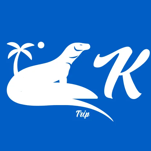 about us_ lombokkomodotrip