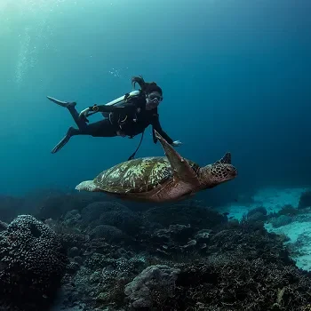 A girl snorkeling time in Manta Point during Komodo Island Tours A girl snorkeling time in Manta Point during Komodo Island Tours